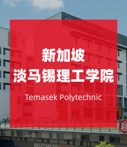 新加坡淡马锡理工学院